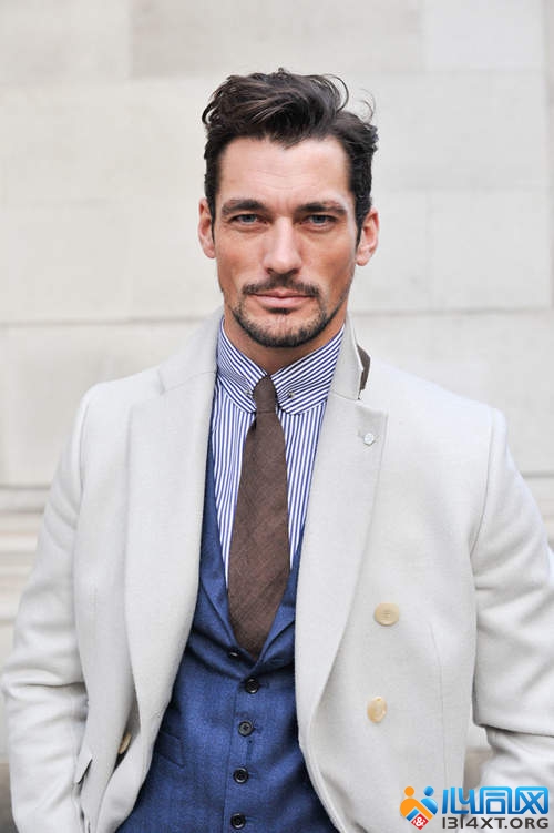 ӢʱдάDavid Gandy