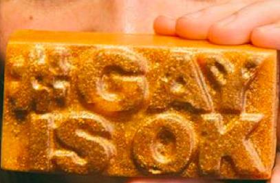 ӡGayOK Lush÷ͦͬ־