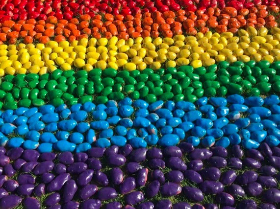 澳大利亚两青少年用彩虹土豆挺同性婚姻平权