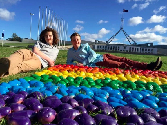 澳大利亚两青少年用彩虹土豆挺同性婚姻平权