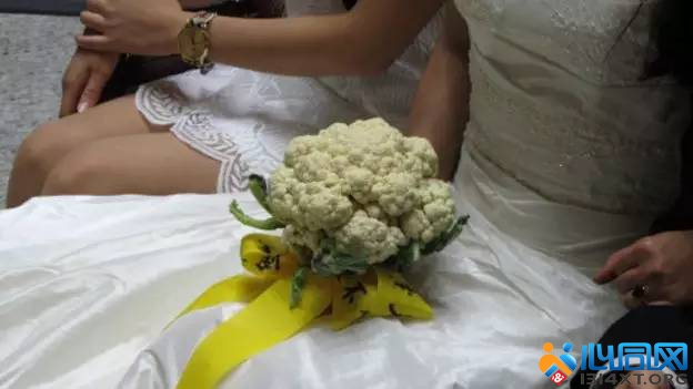 新娘手上捧的是一株白花菜