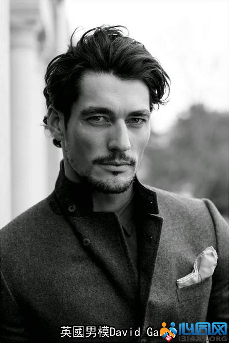 ӢģDavid Gandy