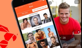 ϺͶ˾Ͷͬ־ֻHORNET