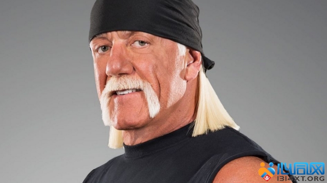 ˤֺ·(Hulk Hogan)