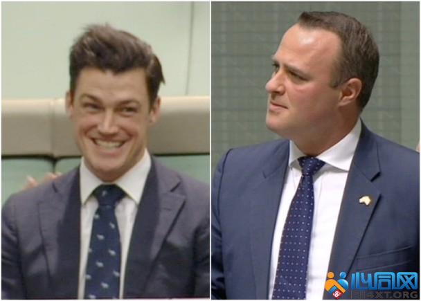 澳众议院辩论同性婚姻 男议员向同性伴侣求婚