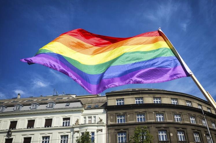 同志骄傲月由来与同志游行和彩虹旗