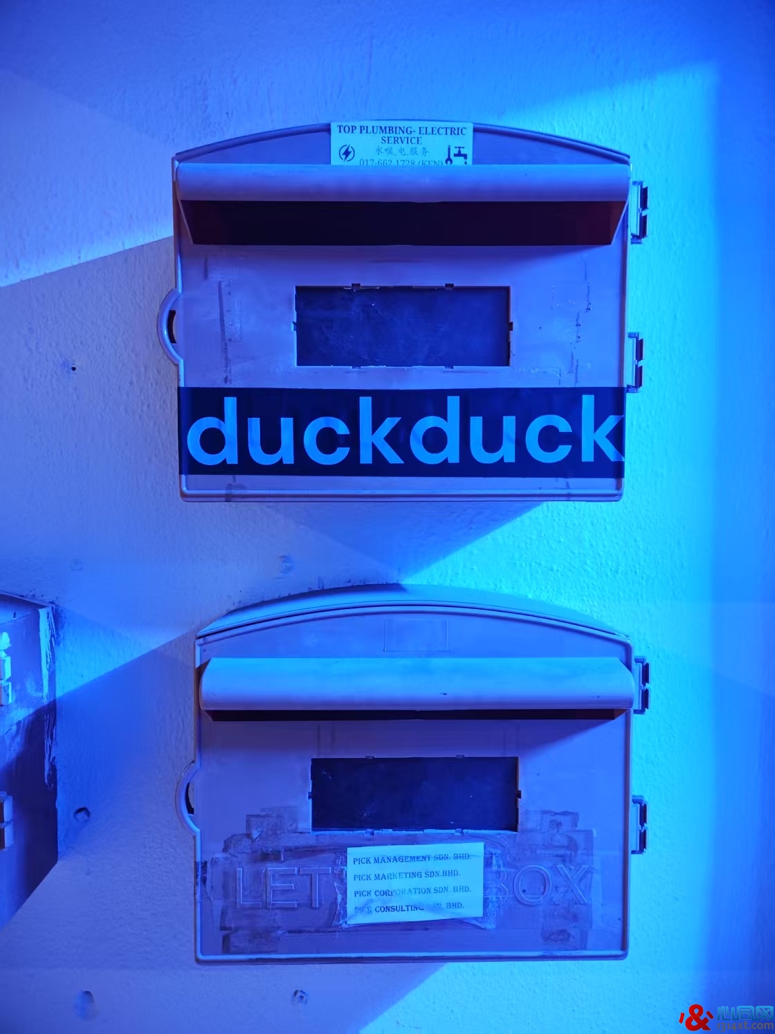 ¡DuckDuck Barʱ֪GOGOBOYݵľư