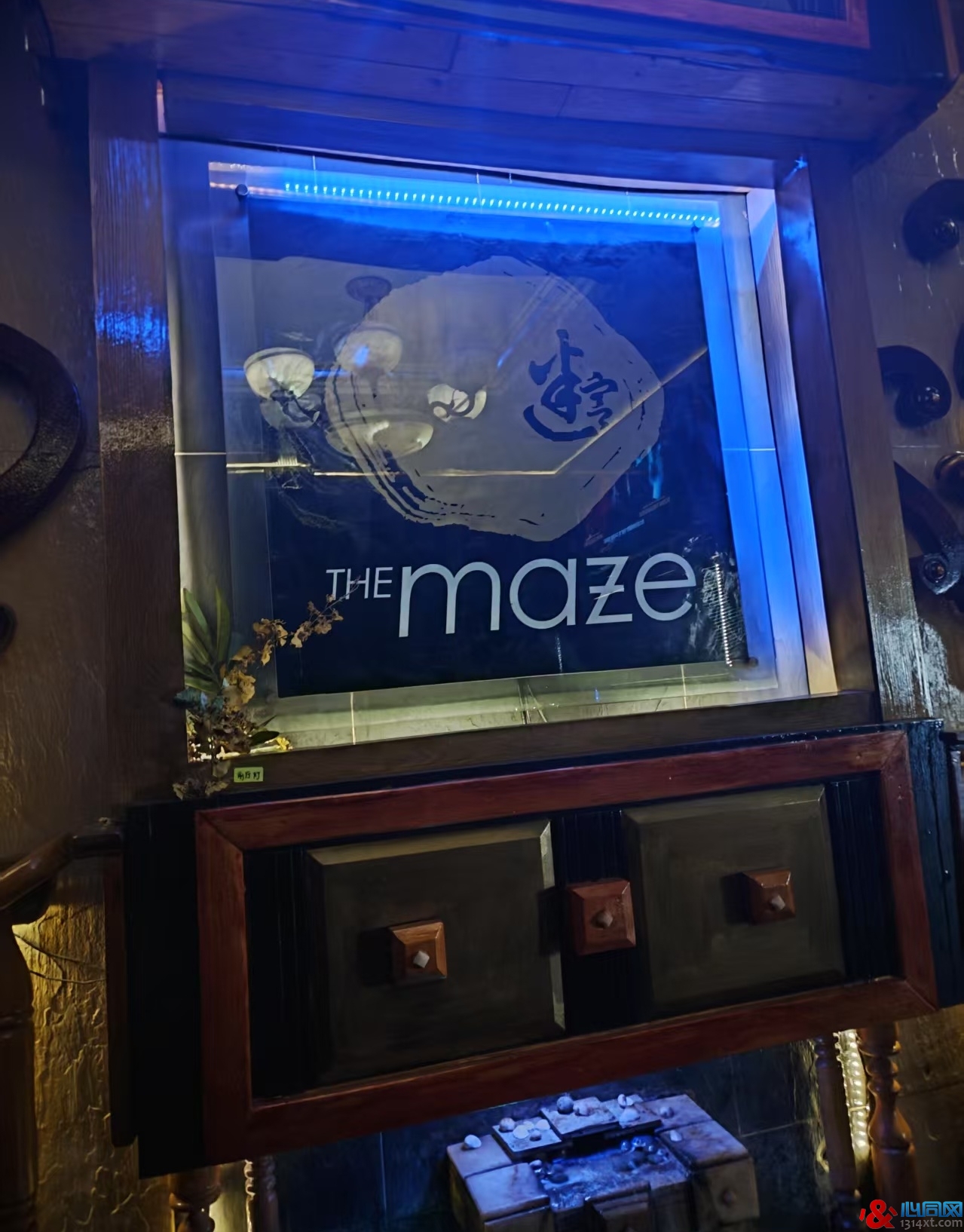 ɽThe Maze/Թ˶ɣ ¼µҲ