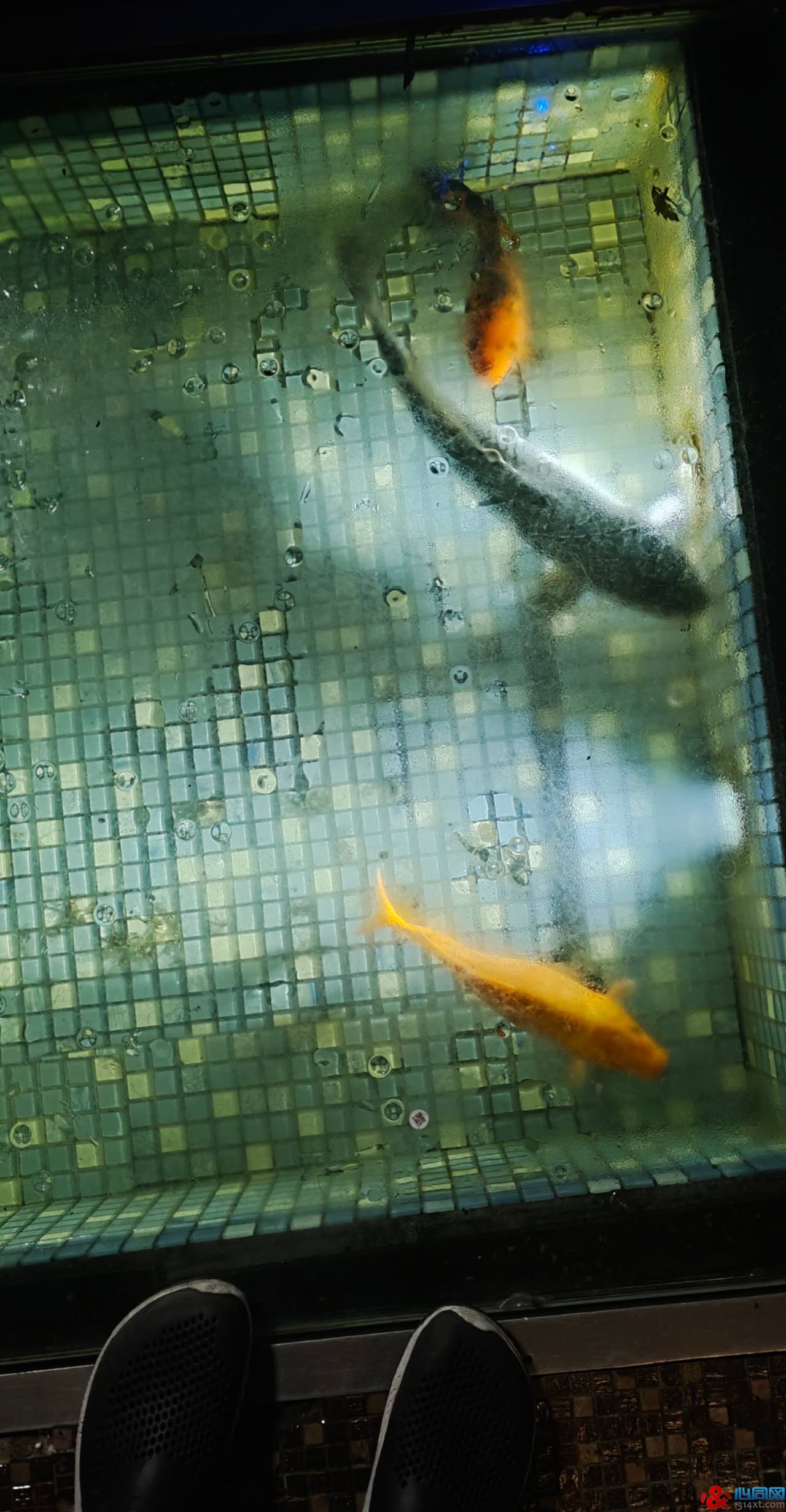 Ī˹ƲʺռǣѲư12 
