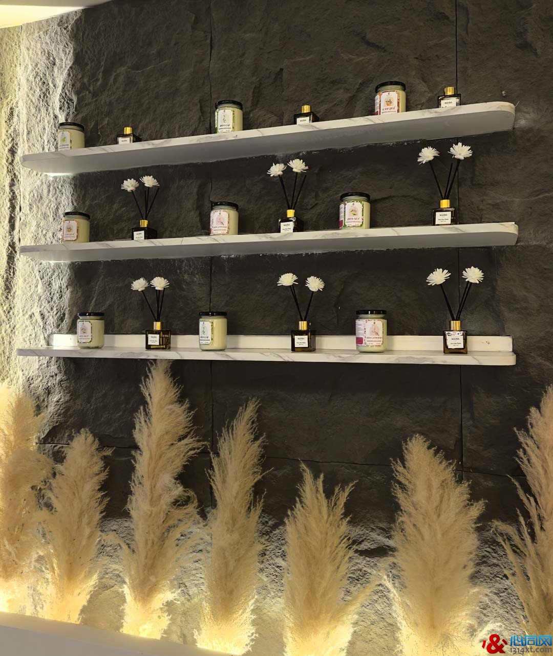 ־Cream Spa¸߶ȣȻСưɡ