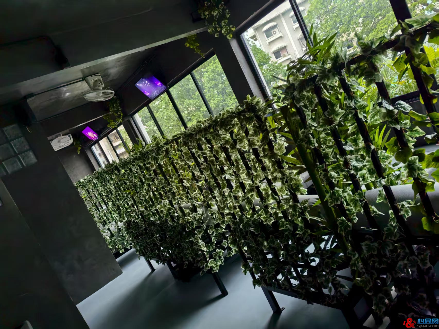 探访曼谷本地圈同志桑拿Chill Out Bangkok