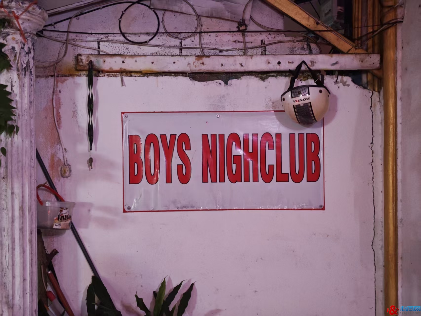 ��������״��GOGOBOY�ķ۱�Ů������ ɣ��������û