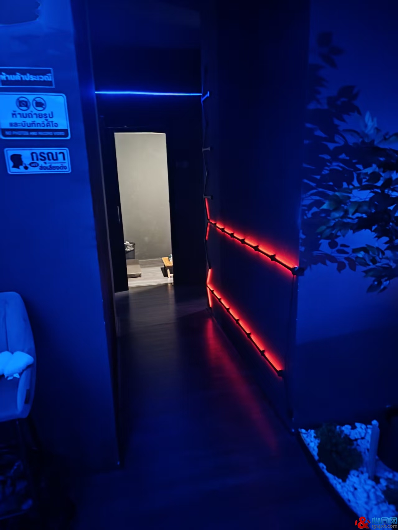 曼谷Feel Onsen:漆黑的巡航迷宫,分1/0的荧光手环