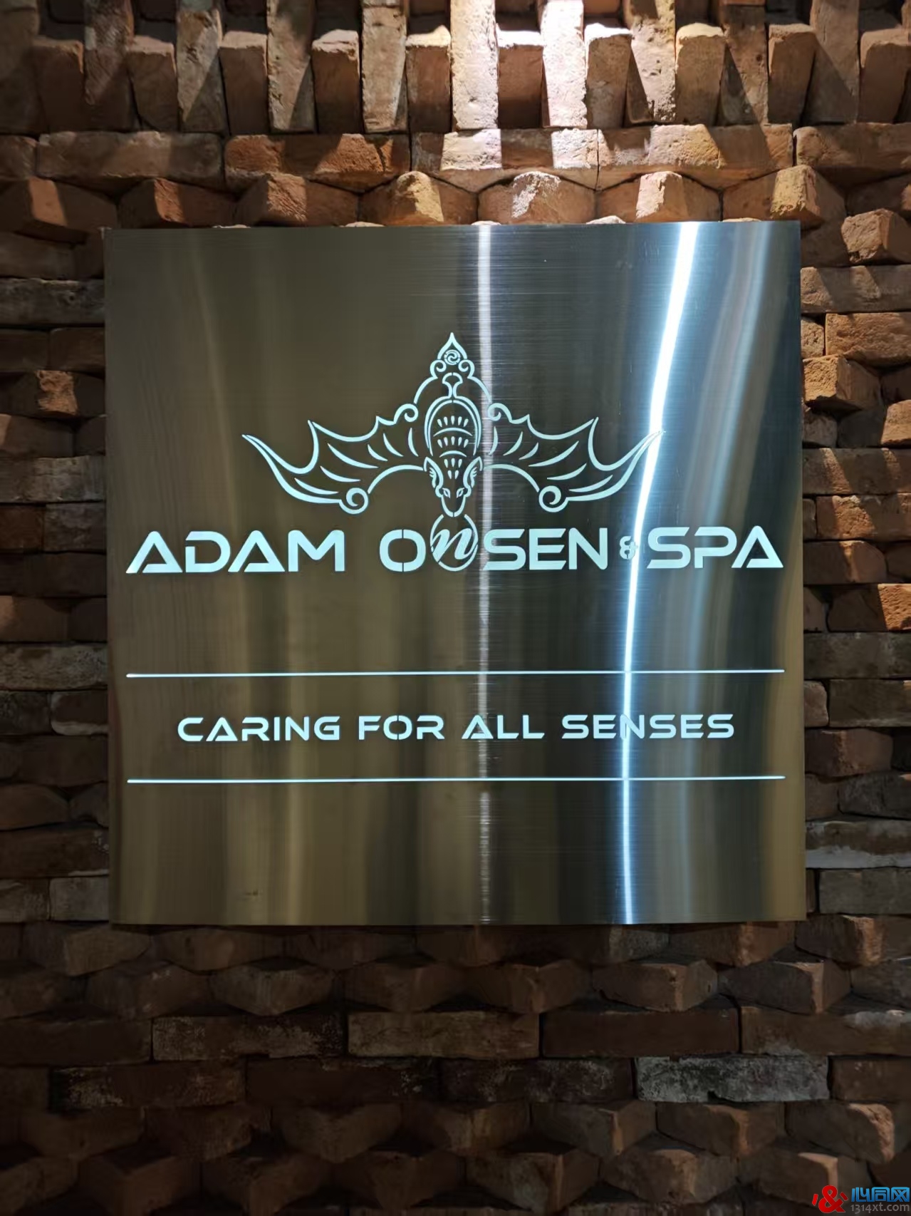 ���Ǽ۾���Զ�����������ɣ�ú�־��ADAM�������»�