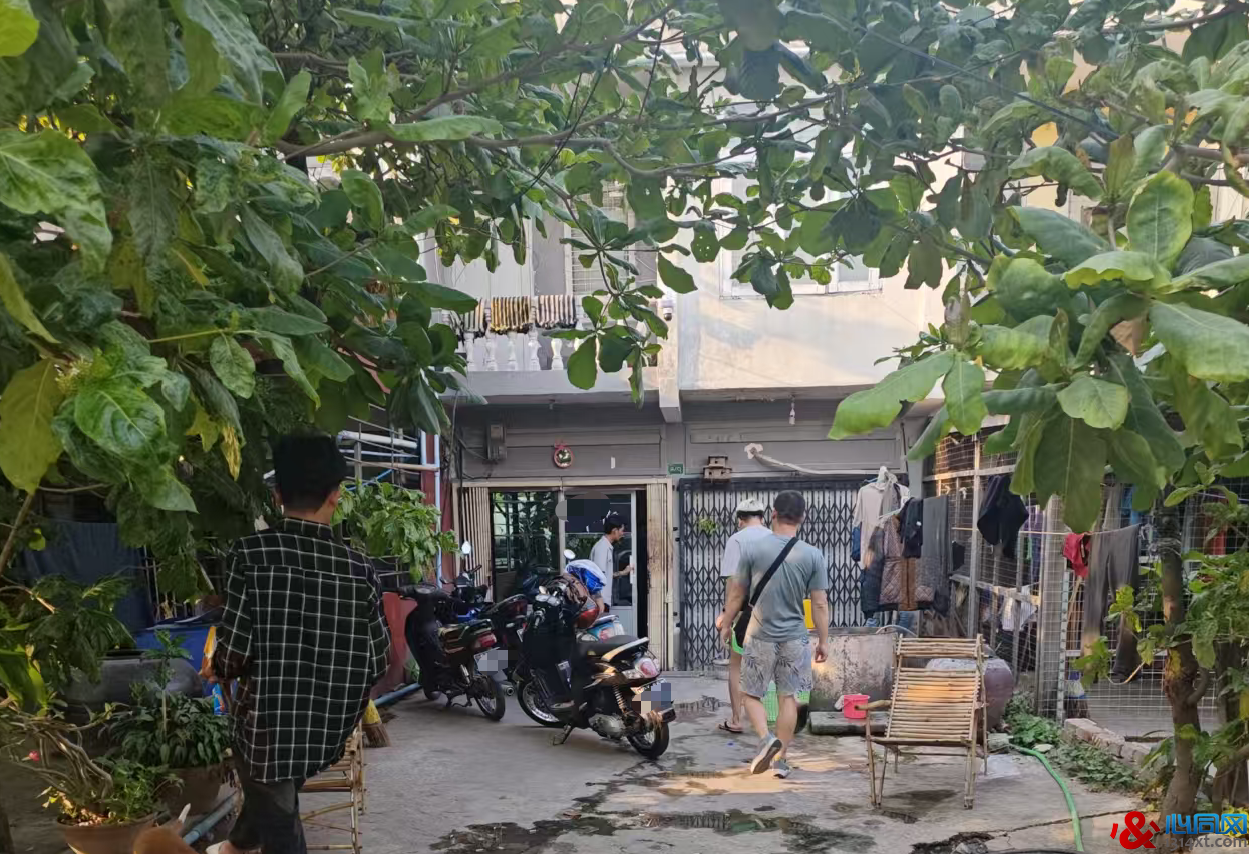 ������VS���⣺������Ȼ���ײ˼ۡ���ʮԪ ��������������